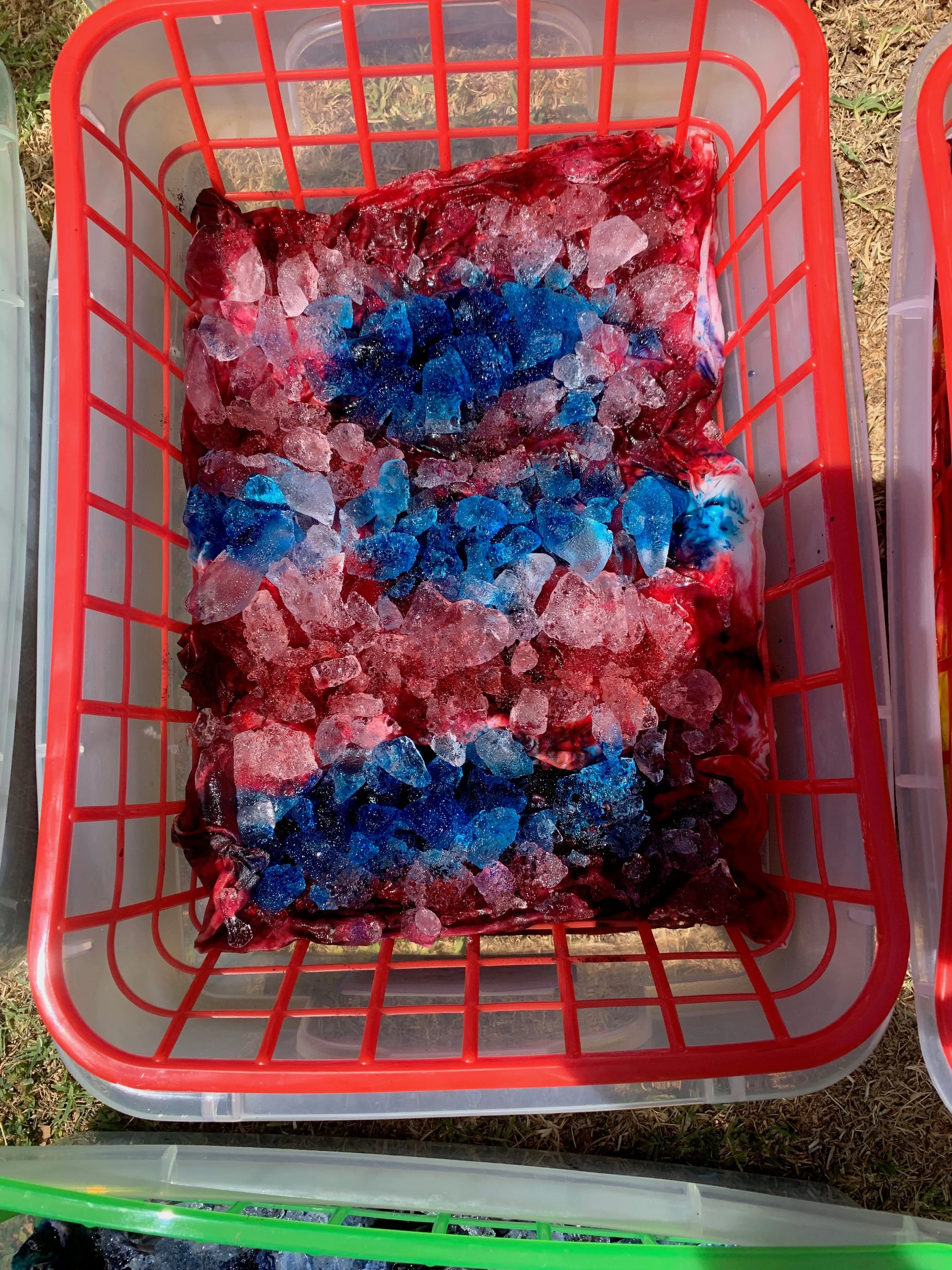Class:  Ice Dying Flag    .     .    .    San Leandro,  CA  May 17th