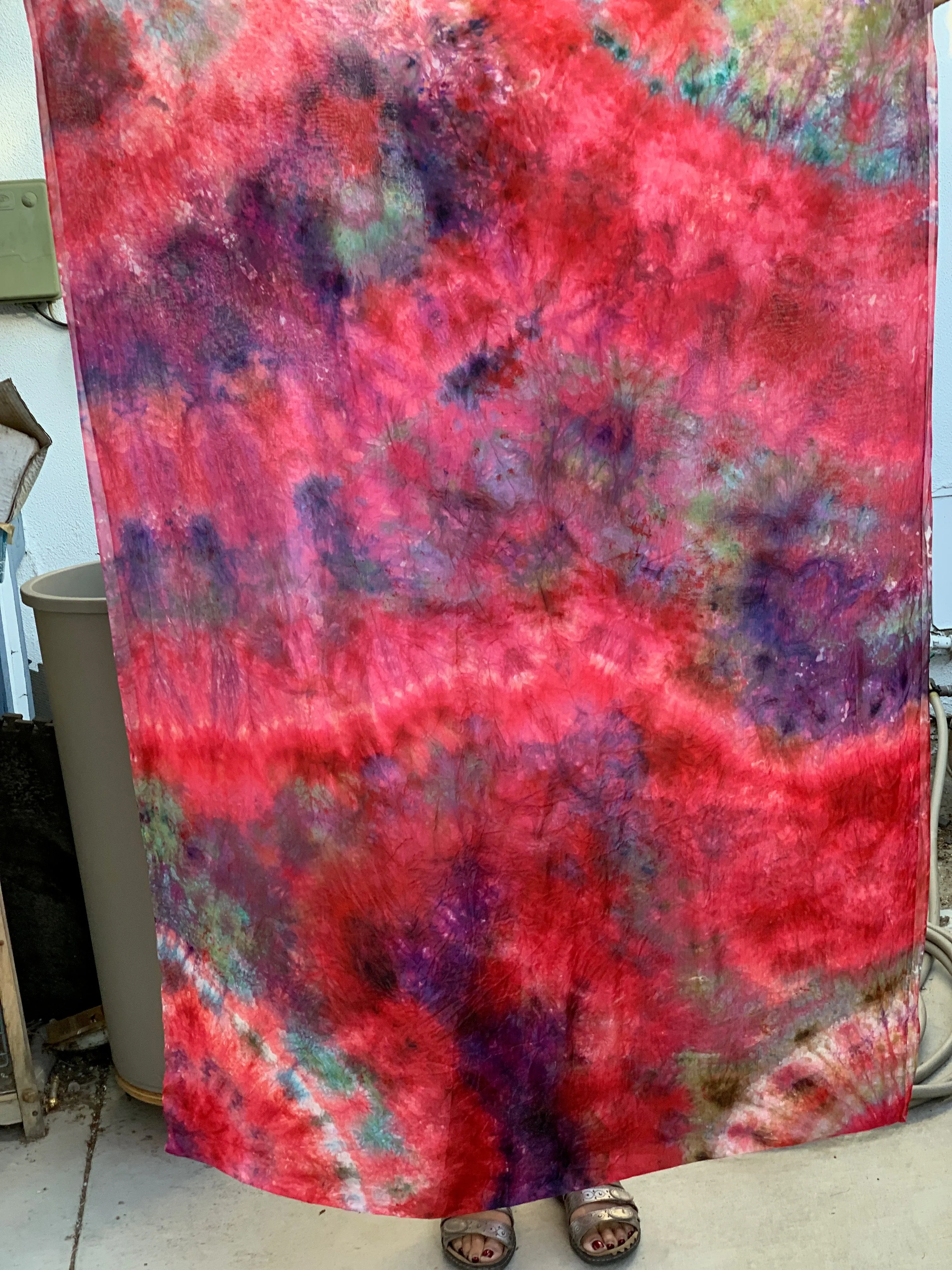 Class:  Ice Dying Flag    .     .    .    San Leandro,  CA  May 17th