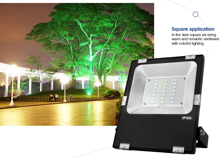 IP65 2.4G RF Wireless Control 30W Smart RGB CCT LED Flood Light