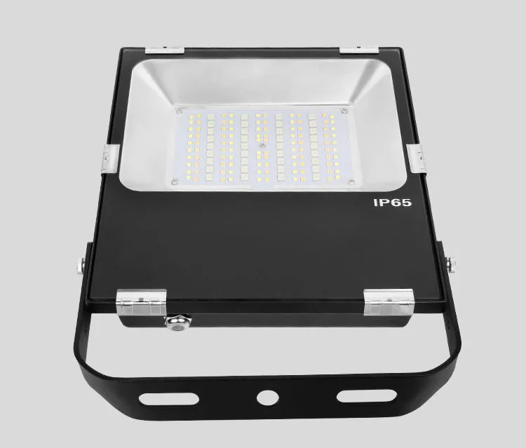 IP65 2.4G RF Wireless Control 50W Smart RGB CCT LED Flood Light