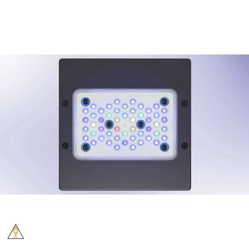Radion G5 Pro LED Light Fixture - EcoTech Marine
